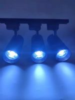 梵立芯照明生產(chǎn)銷(xiāo)售軌道燈天花射燈筒燈平板燈燈管燈帶